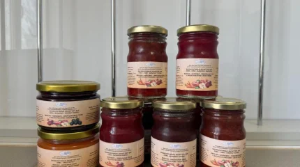 Казахстанские ученые создали технологию переработки овощей и фруктов с пользой для здоровья