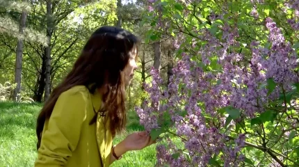 216 250 тг: Қазақстанда сиреньді жұлғандарға айыппұл салынады