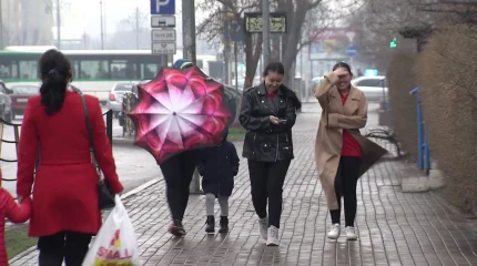 Қар жауады: алдағы күндері елімізде күн суытады