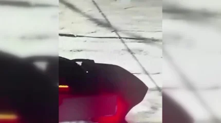 Пятерых мужчин осудили за кражу девушки в Жанаозене