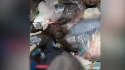 Свалку медицинских отходов нашли в Алматинcкой области