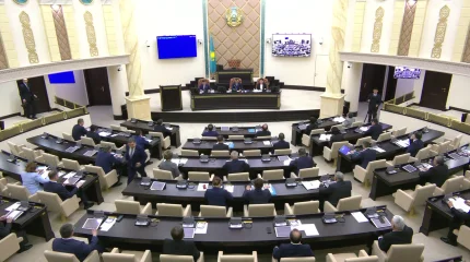 В сенате приступили к изучению поправок в закон об ответственном обращении с животными, - М. Ашимбаев