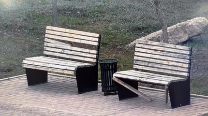 Елорда полициясы қаладағы вандализмнің 70 дерегін тіркеді