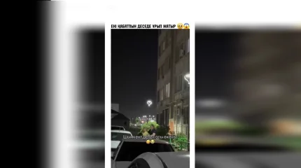 Шымкентте ашуға мінген әйел жүкті келіншекті шыңғыртып ұрып-соқты