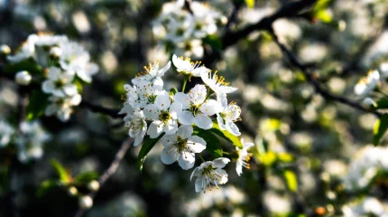 Прогноз погоды на 19 апреля 2026 года в Казахстане