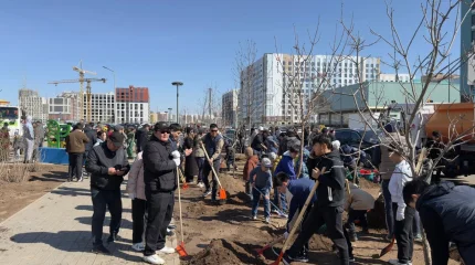 «Таза Қазақстан»: Астанада 5000 әке мен бала ағаш екті