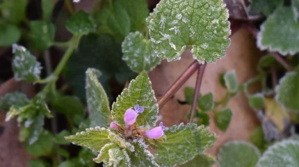 -3 градус: ауа райы құбылады