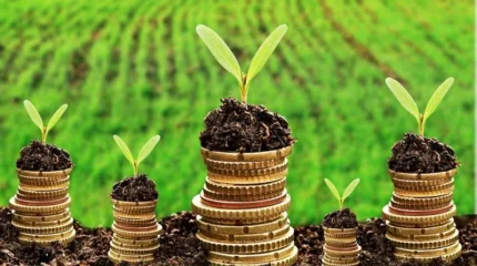 256 фермерге 8,2 млрд теңге жеңілдетілген несие берілді