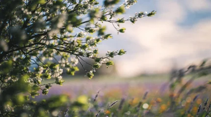 Погода в мегаполисах Казахстана 21 апреля 2026 года - что прогнозируют синоптики