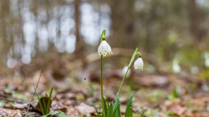 Ауа райы құбылады