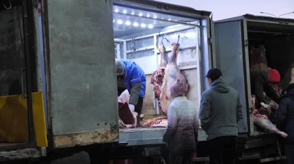 Бағаны негізсіз өсіргендерге айыппұл салынады