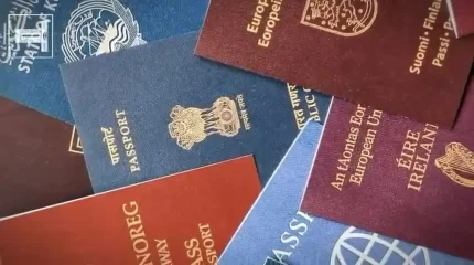 Ужесточение миграционной политики Казахстана прокомментировала Аида Балаева