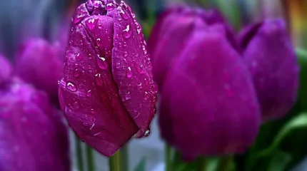 Грозы в Астане и Шымкенте, +25 в Алматы: погода в среду, 22 апреля