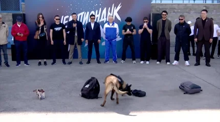 Молодым алматинцам напомнили о вреде наркотиков в рамках проекта «Чемпиондық Рух» партии «Amanat»