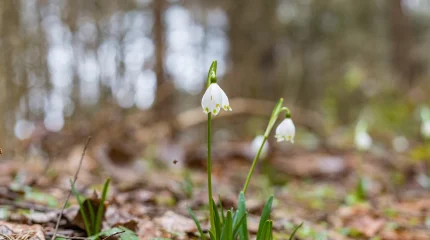 Жаңбыр, найзағай: бүгінгі ауа райы болжамы