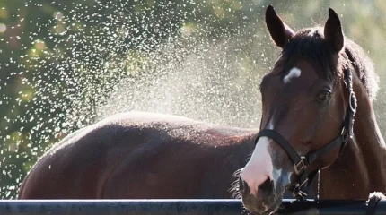 Грозы прогремят в двух мегаполисах Казахстана в пятницу, 24 апреля