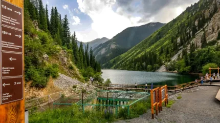 Көлсайда автокөлік жардан құлап кетті