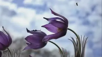 Дождь в Астане, ветер в Шымкенте: погода в воскресенье, 26 апреля