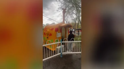 Астанадағы Орталық саябақта екі бүлдіршін жазым бола жаздады