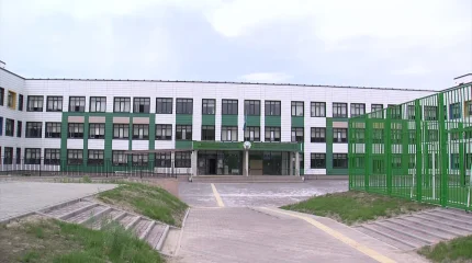 Двух несовершеннолетних братьев подозревают в убийстве 17-летнего парня в Алматинской области