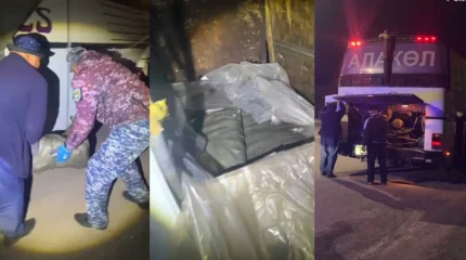 Жетісуда 4 қап балық аулаған зейнеткер ұсталды