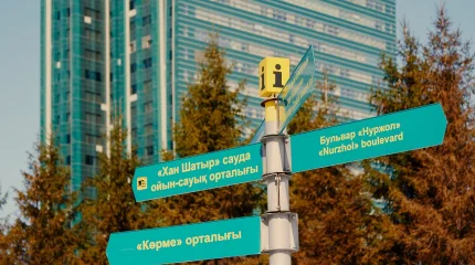 Астанада 5 күнде 1,5 мыңнан астам жол ережесі бұзылған