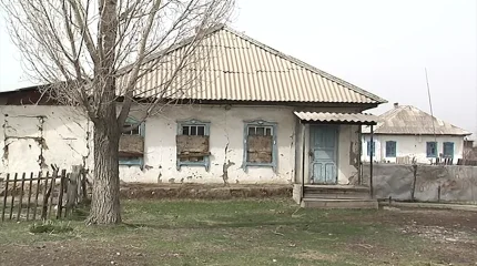 Алматы облысының тұрғыны әкесін ұрып өлтірген