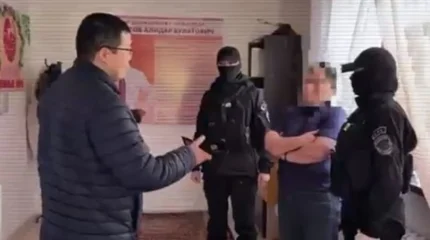 Кызылординку из кризисного центра поймали на продаже ребёнка
