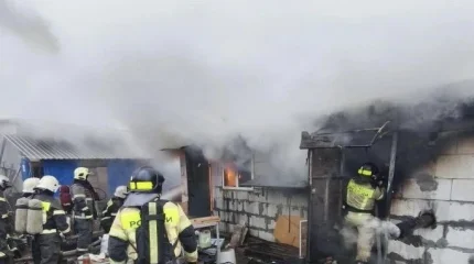 200 чихуа-хуа погибли при пожаре в Нижнем Новгороде