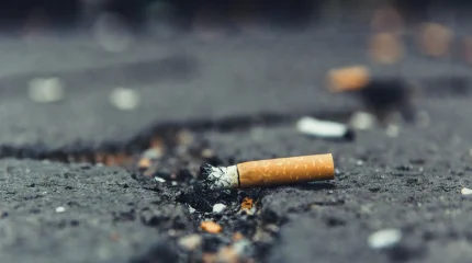 За окурок у здания полиции житель Шетпе получил 40 часов общественных работ