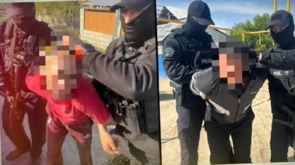 Угнали скот на 27 миллионов тенге: дерзких скотокрадов задержали в Алматинской области