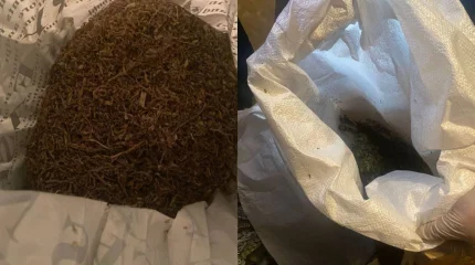 Көкшетауда полиция мотоцикл жүргізушісінен 5 келіден астам марихуана тәркіледі