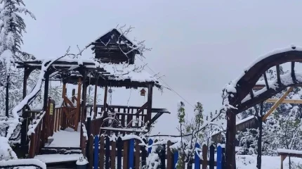 Түркияда 60 см-ге дейін қалың қар жауды