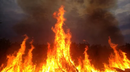 Пожар в детском саду Туркестанской области ликвидирован без пострадавших (ВИДЕО)