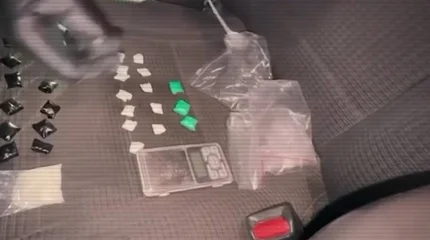 ІІМ шетелдіктер қатысқан есірткі қылмыстарын әшкереледі