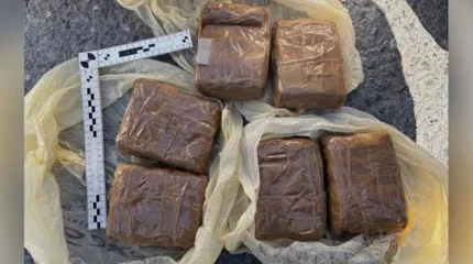 Жамбыл облысында полицейлер заңсыз айналымнан 3 келіге жуық гашиш тәркіледі