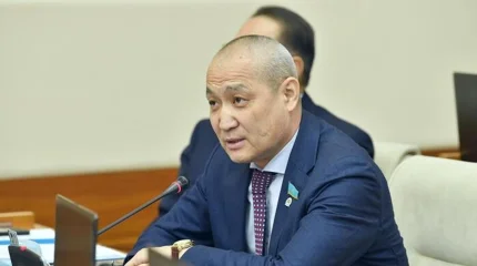Жазаны күшейтуді ұсынды