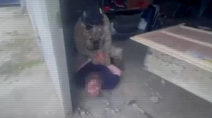 В Семее ликвидировали крупный канал поставки марихуаны (ВИДЕО)