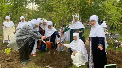 Астанада «Анаға тағзым» аллеясы ашылып, 50 түп алмұрт ағашы егілді