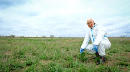 Технологию восстановления засоленных земель внедрил казахстанский ученый