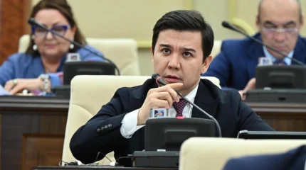 “Балалар лагеріне қатысты қордаланған мәселе көп” - депутат