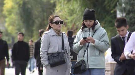 Депутаты предлагают усилить контроль в сфере мобильной связи и цифровых сервисов