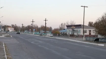 Сотрудник полиции совершил смертельный наезд на собственную супругу в Алматинской области