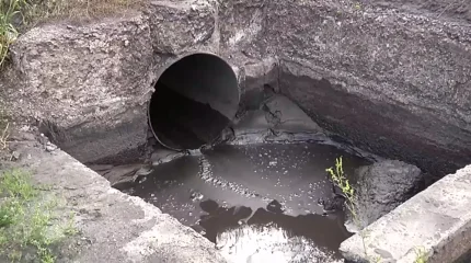 Экологтар Қарағанды облысындағы кәсіпорындардан өрескел заң бұзушылықтарды анықтады