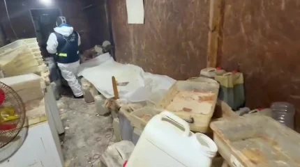 Есірткі зертханасын басқарған ерлі-зайыпты Грузияда қолға түсті