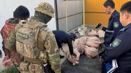 Атырау облысында полиция бекіре тұқымдас балықтардың заңсыз айналымының жолын кесті