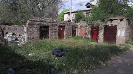 Ақтөбеде қоқыс жәшігінен шақалақ табылды