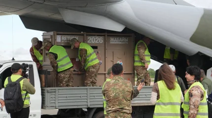 Новая партия лошадей Пржевальского прилетела в Казахстан