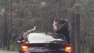 Съемка видео по дороге в Боровое обернулась наказанием для водителя из Астаны