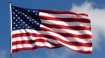 Праздник обернулся паникой: более 10 человек ранены при стрельбе в США